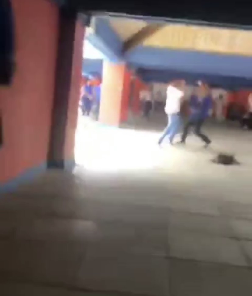 Foto: Reprodução