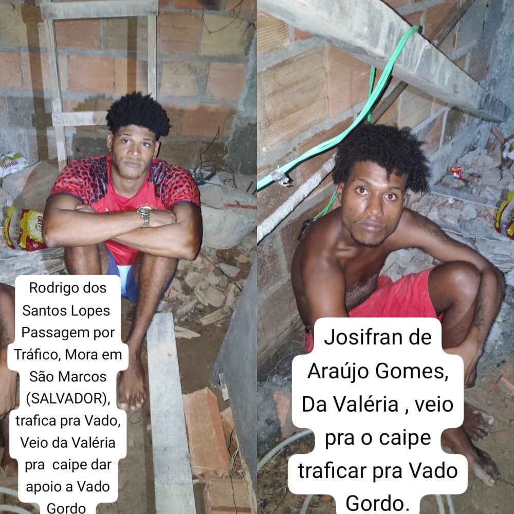 Foto: Reprodução