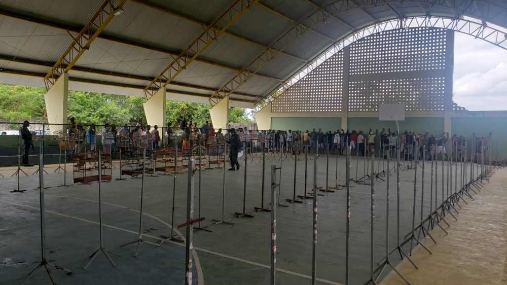 Pássaros foram encontrados em uma rinha em Candeias. Foto: Divulgação / SSP-BA