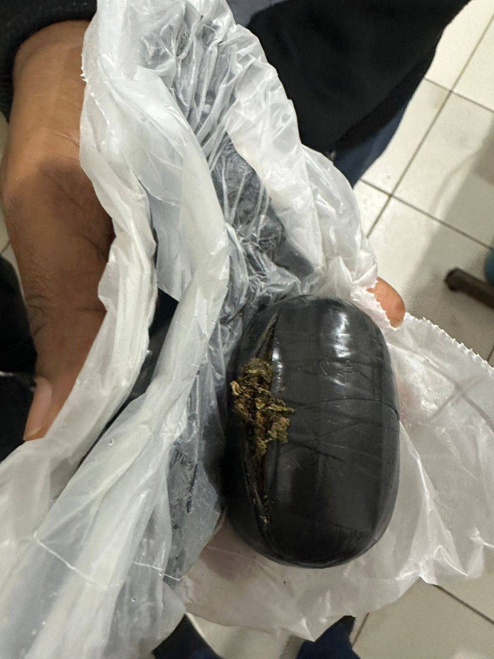 Foto: Reprodução