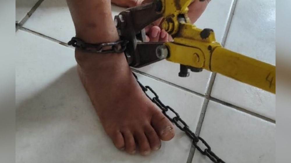 Foto: Reprodução