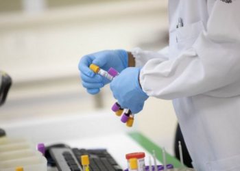 Foto: Governo de São Paulo