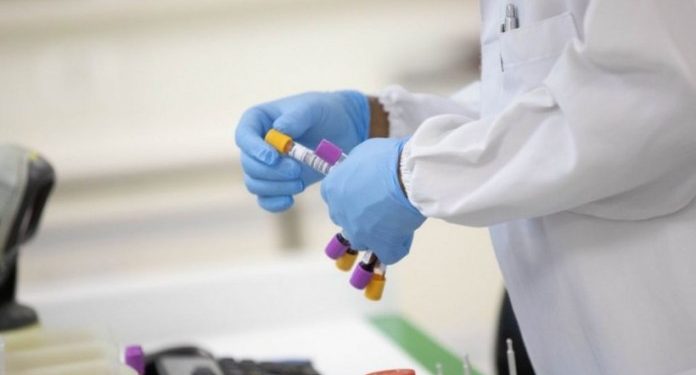 Foto: Governo de São Paulo