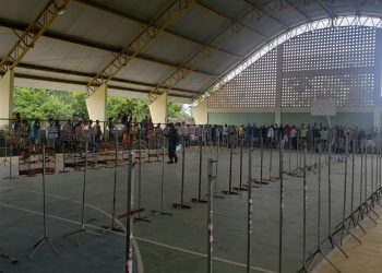 Candeias: Polícia de Proteção Ambiental conduz 43 pessoas e resgata 192 aves