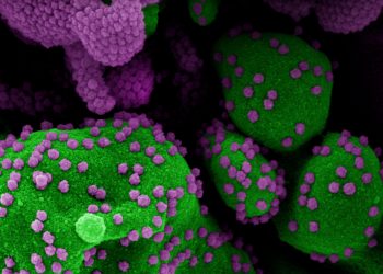 Registrada reinfecção da covid com variante do vírus em paciente na BA