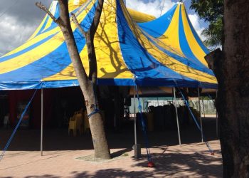 Artistas de circo desafiam pandemia sem apresentações e plateia presenciais