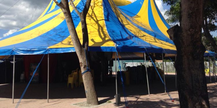 Artistas de circo desafiam pandemia sem apresentações e plateia presenciais