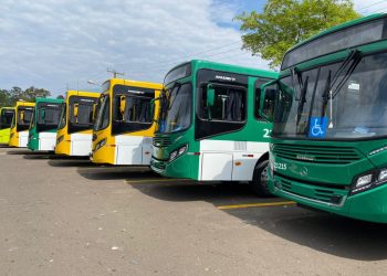Sindicato anuncia paralisação de ônibus na Região Metropolitana de Salvador
