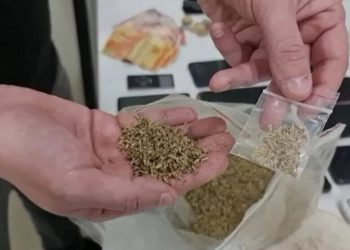 Sesab alerta para riscos da nova droga K9, que causa ‘efeito zumbi’