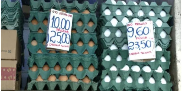 Preço do ovo sobe 3,88% e consumidores de Candeias buscam outras proteínas