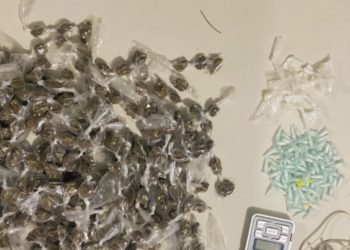 Madre de Deus: Peto apreende drogas na Quitéria Velha em operação “Pitbull Enraivado” 