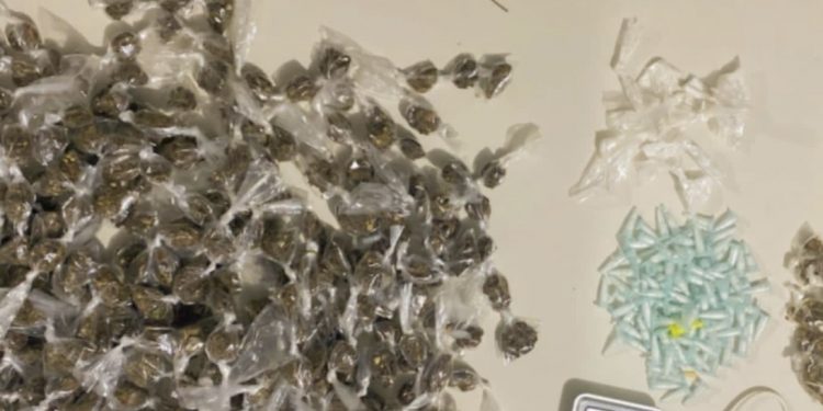 Madre de Deus: Peto apreende drogas na Quitéria Velha em operação “Pitbull Enraivado” 