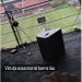 Homem é expulso do Barradão após desrespeitar o Estádio e o Vitória