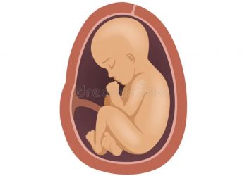 Feto é encontrado abandonado em via pública de Madre de Deus