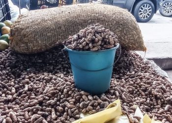 Produtos juninos como o amendoim já estão mais caros e podem faltar em Candeias 
