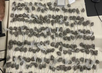 Candeias: PETO encurrala e prende traficante com 229 buchas de maconha no Santo Antônio 