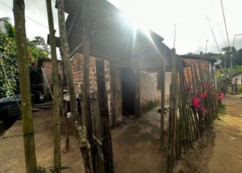 Cinco crianças mortas em chacina com nove vítimas em Mata de São João