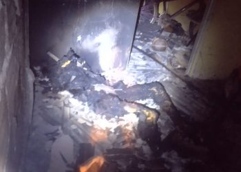 Mata de São João: tiros de metralhadora e incêndios; detalhes da chacina com 9 mortos