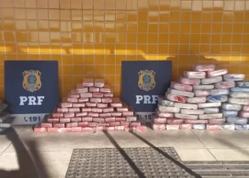 PRF apreende quase 130 kg de drogas em Vitória da Conquista