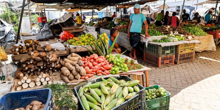 Prefeitura vai criar auxílio para feirantes que fiquem impossibilitados de trabalhar durante reforma da Central de Abastecimento
