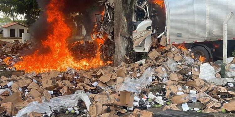 Duas pessoas morrem após motorista passar mal e colidir caminhão na BR- 324