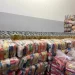 Madre de Deus: Prefeitura distribui mais de 109 toneladas de alimentos arrecadados no Madre Verão 2024
