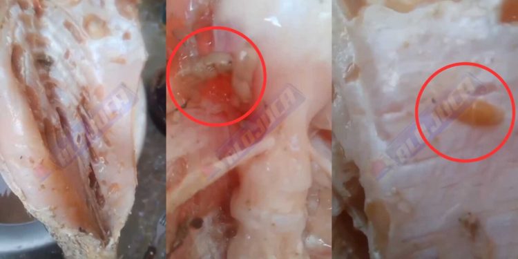 ABSURDO: prefeitura de Simões Filho distribui peixes com larvas para população carente