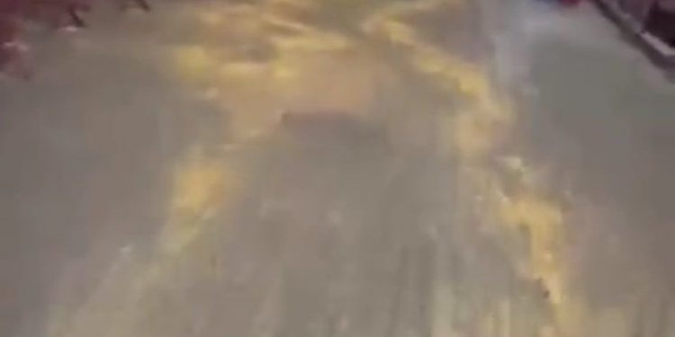 Grãos de milho são jogados em frente ao Barradão antes de Ba-Vi da final do Baianão