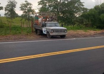 Policiais da 10ª CIPM e SEMAP realizam operação em conjunto para recolher equinos na BA 523 