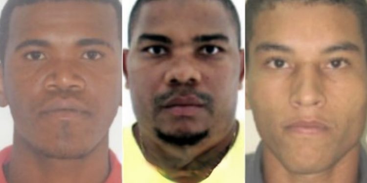 Tio Chico, Porquinho e Thubi; saiba quem sãos as novas cartas do Baralho do Crime