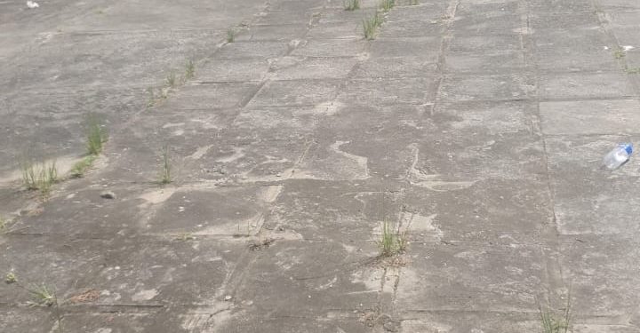 Eleitores deixam regularização de título para última hora e enfrentam longas filas