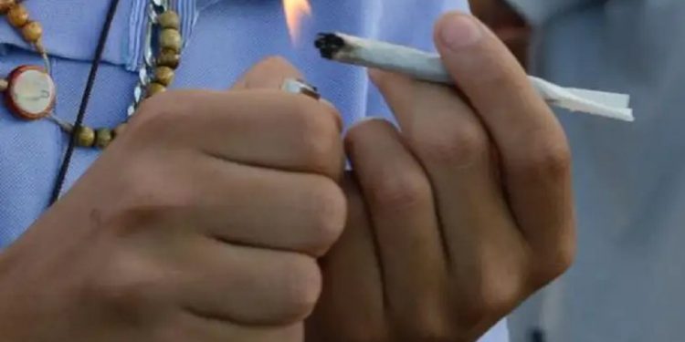 Fui pego com o ‘beck’, e agora? Saiba o que acontece após descriminalização da maconha