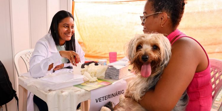 Cães e gatos recebem atendimento veterinário gratuito em Candeias 