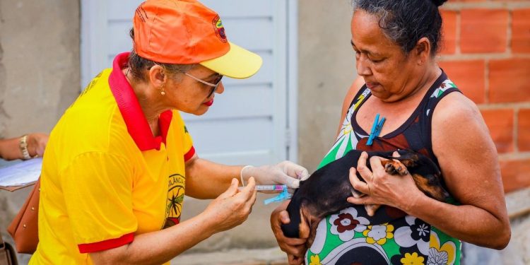Candeias terá atendimento veterinário gratuito nesta quinta-feira (18)