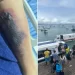 Turista morre após ser picado por aranha-marrom em Morro de São Paulo