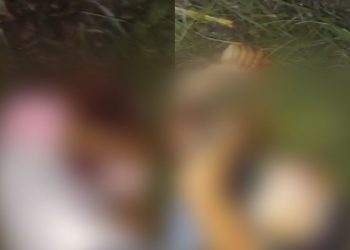 DUPLO HOMICÍDIO: Dois jovens mortos a tiros na BR-324