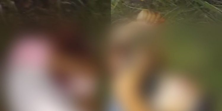 DUPLO HOMICÍDIO: Dois jovens mortos a tiros na BR-324