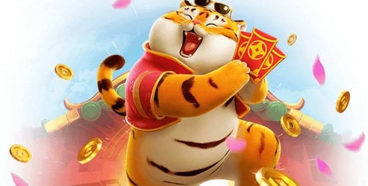 Candeense perde R$ 15 mil no Jogo do Tigrinho: ‘Não sei como vou continuar a viver’