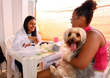 Candeias: Atendimento veterinário gratuito será realizado no distrito da Passé nesta quarta-feira (21)