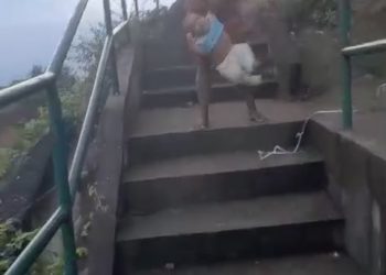 Mulher é flagrada agredindo bebê em Candeias: “Vou quebrar o braço dela”. Veja o vídeo