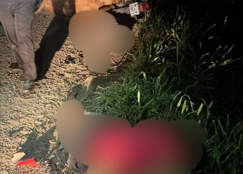Tragédia: colisão com vaca causa morte de jovem na BA- 522 em Candeias 