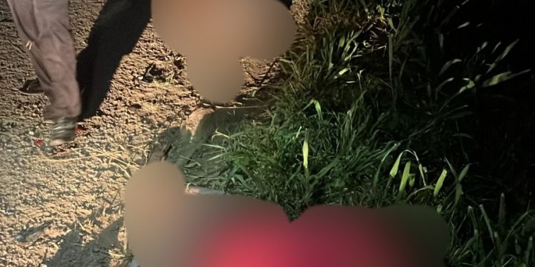 Tragédia: colisão com vaca causa morte de jovem na BA- 522 em Candeias 