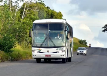 Transporte intermunicipal será gratuito nas eleições