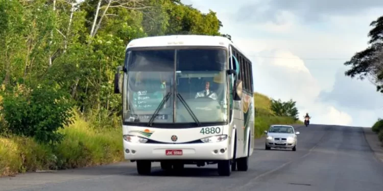 Transporte intermunicipal será gratuito nas eleições