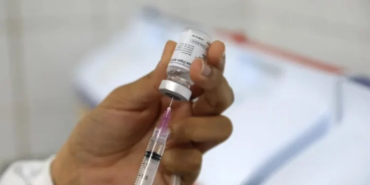 Nova variante do vírus Sars-CoV-2 é identificada em três estados