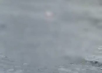 Corpo é encontrado boiando em praia de Caboto 