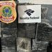 PF e Receita Federal apreendem cerca de 1 tonelada de cocaína no porto de Salvador