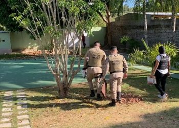 Operação ‘Falso Jaleco’: Justiça decreta prisão preventiva de PMs suspeitos de roubar mais de R$ 130 mil de casa na RMS