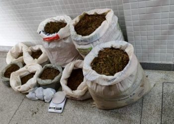 BORRACHARIA DO TRÁFICO: suspeito ”enche o pneu” e sai com 46 kg de maconha na Bahia