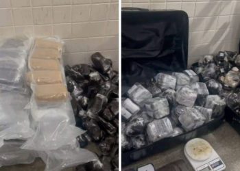Polícia Militar apreende mais de 200 kg de haxixe em Lauro de Freitas